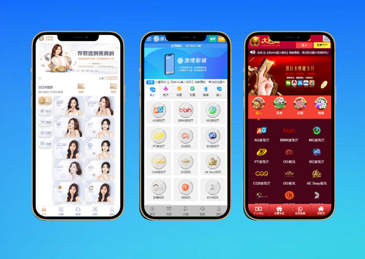 完整的NG接口源码/支持多种模板的包网系统/并附带演示站源码与详细搭建教程/小白也可以实现部署搭建